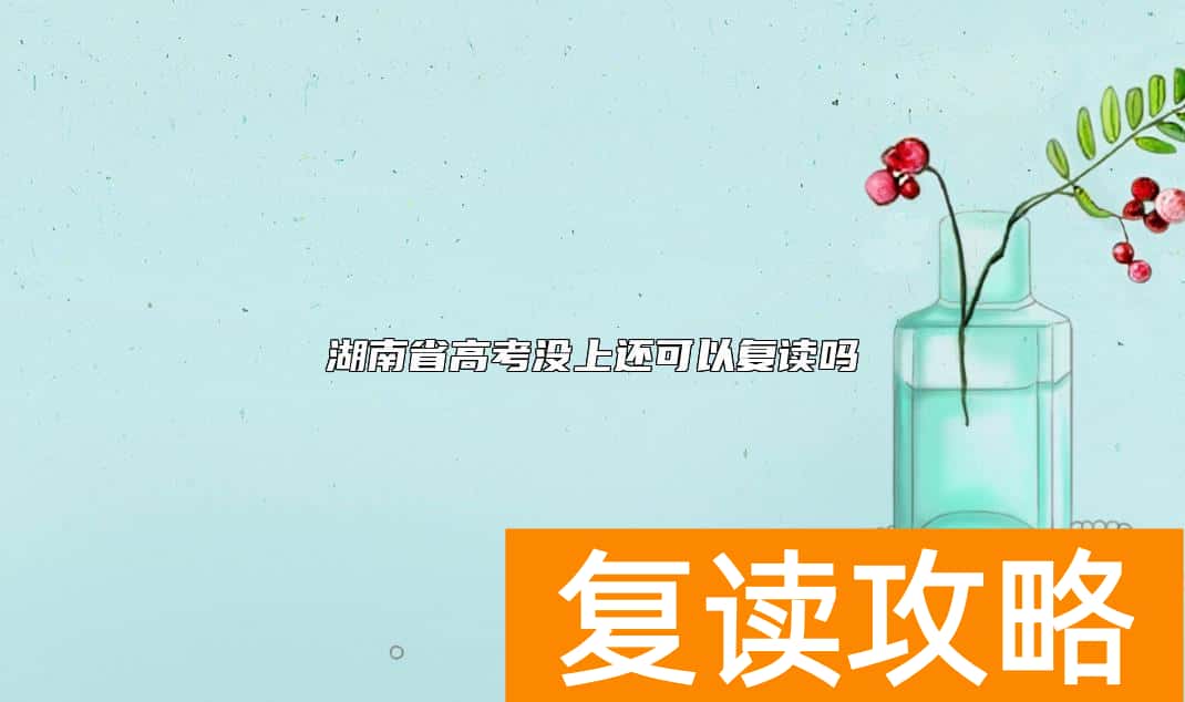 湖南省高考没上还可以复读吗